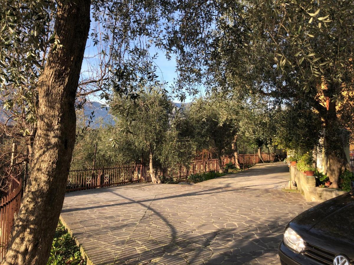 Appartamento Nonna Rosa Malcesine Buitenkant foto